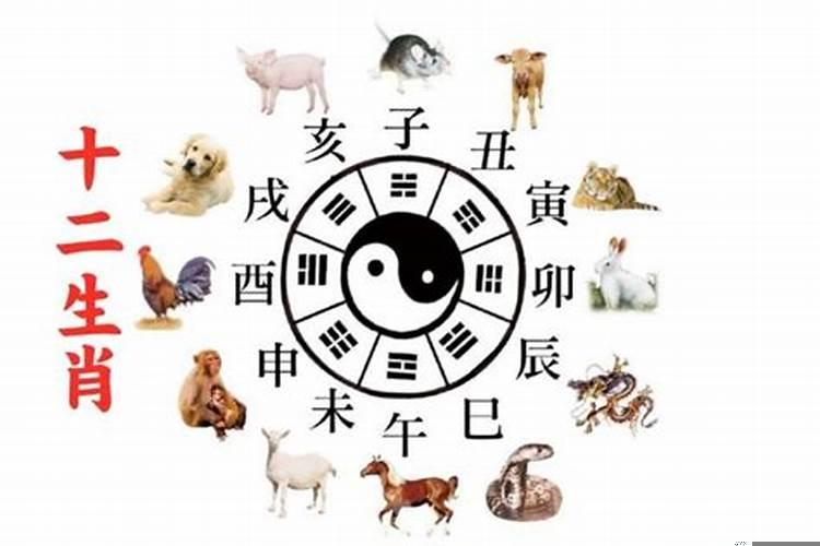 装修的日子是看户主还是家人都看