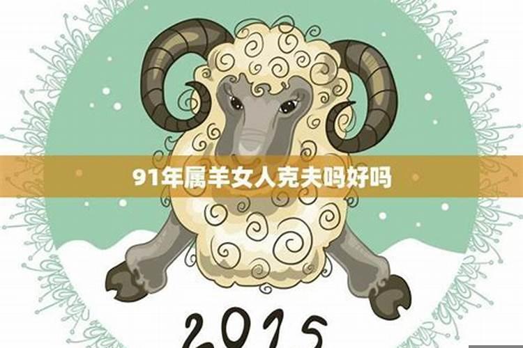 91年羊的命运如何