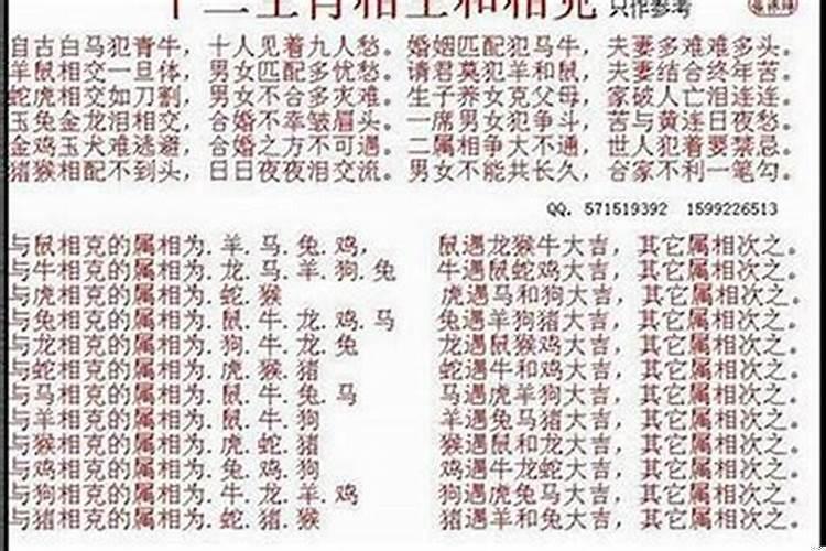 生肖狗与龙婚配如何