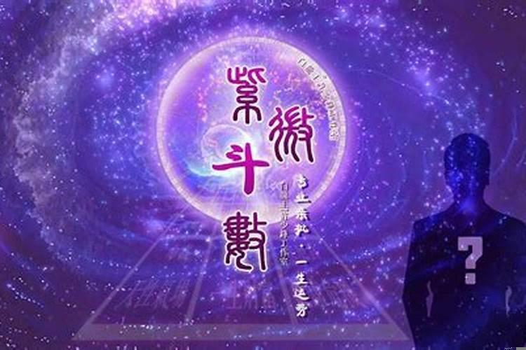紫微斗数论财运