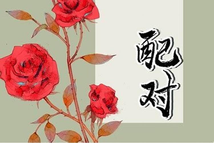 属兔女的和属鼠男的合不合