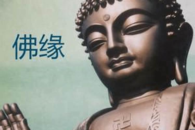 渡佛说的是什么