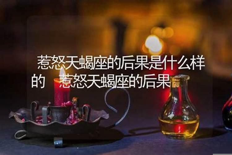 侮辱天蝎座的后果