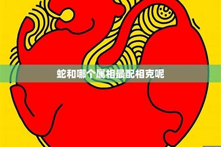 蛇与什么属相最配对