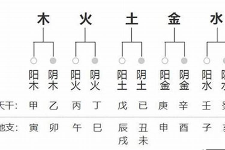 八字测算阴阳属性