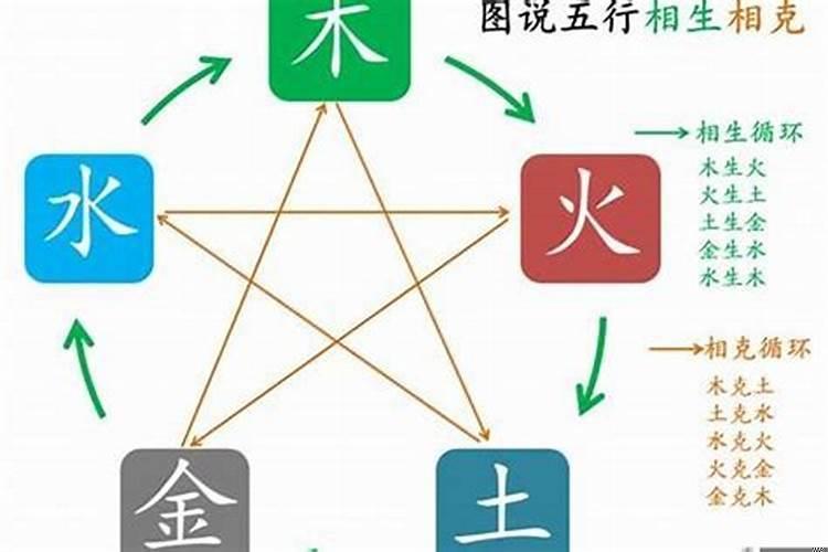 周易预测属于什么五行