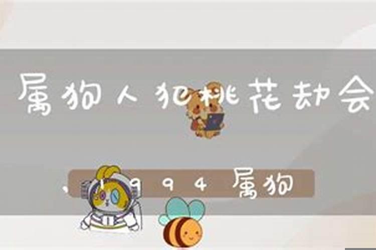 1994年属狗一生的劫难