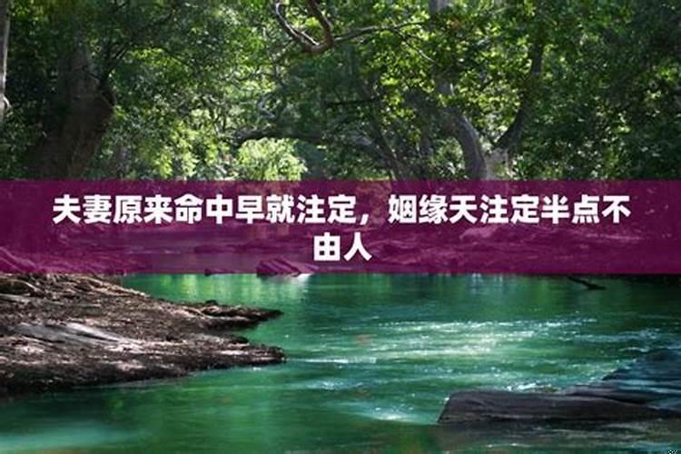很多事情都是命中注定的吗