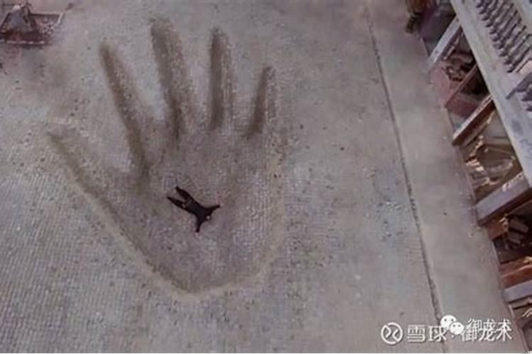 绳虎是什么意思