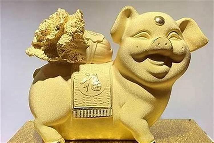 属猪干什么一碰就发财