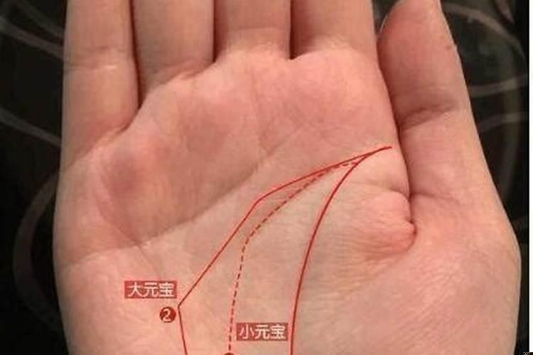元宝纹手相的命运