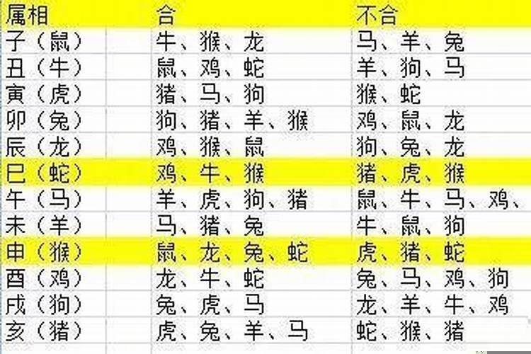结婚时冲属相