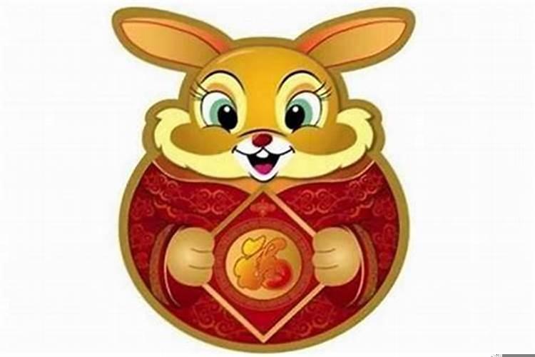 属兔不能佩戴什么属相