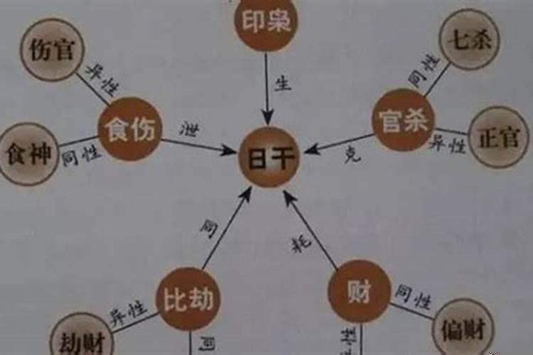 八字十神是哪十神
