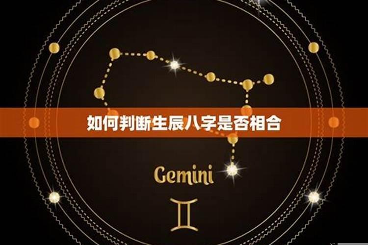 看两个人的八字合不合