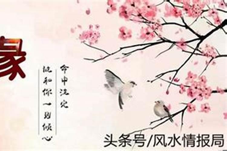 姓名八字测另一半