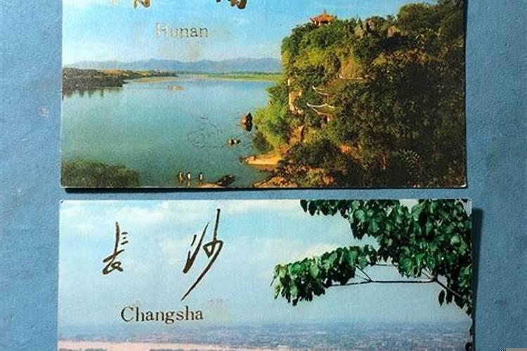 1981年鸡和1982年狗结婚