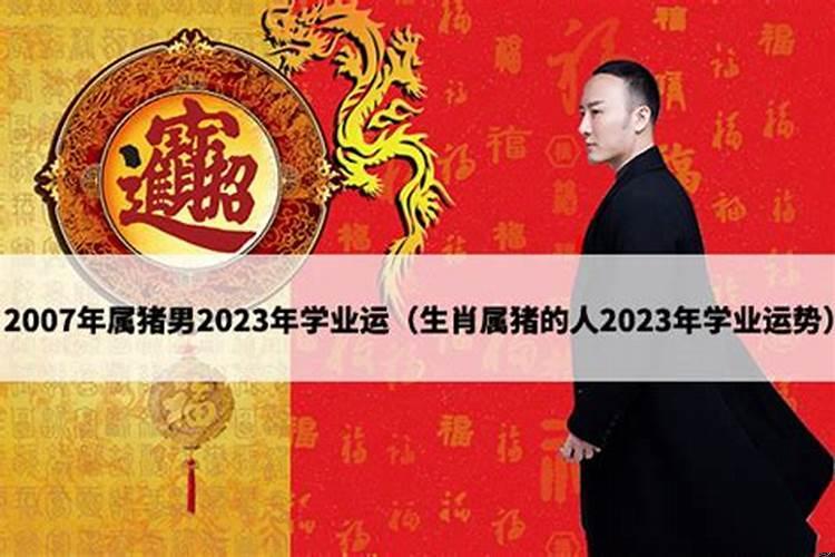 2007年出生的猪今年的运程