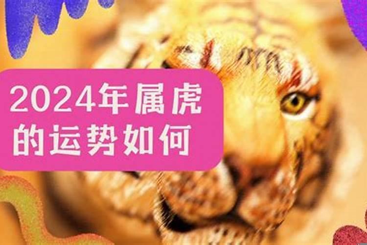 2022年属虎本命年的人命运如何