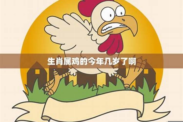 生肖鸡今年的运势