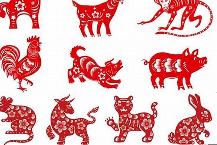 什么能压住属虎的