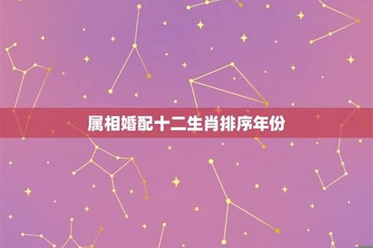 属相婚配最佳组合
