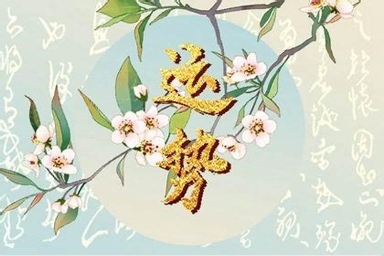2020运势最好的生肖