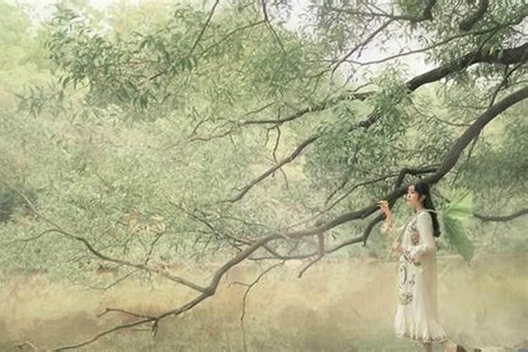 2025年1月休息几天