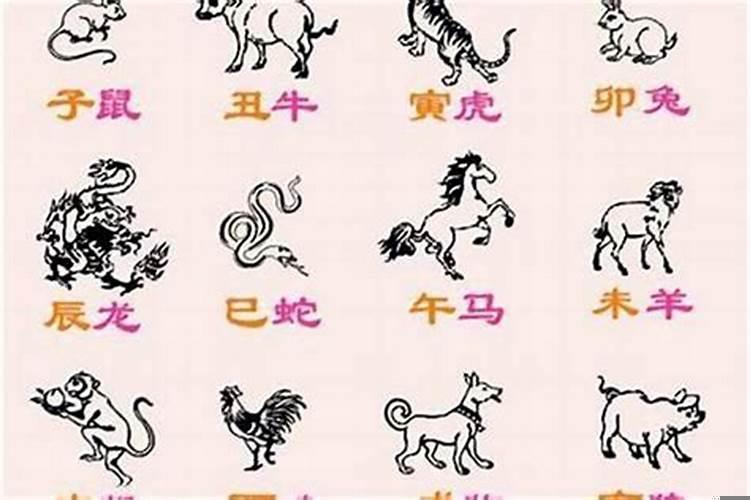 十二生肖跟星座有什么关系