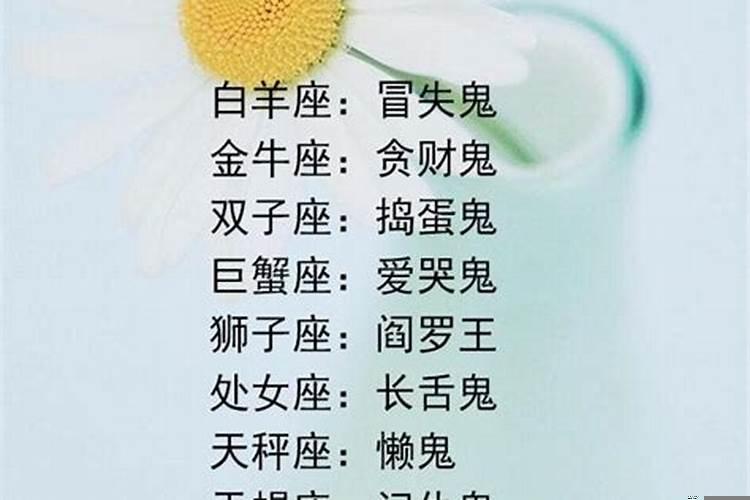 十二星座的宠物是谁