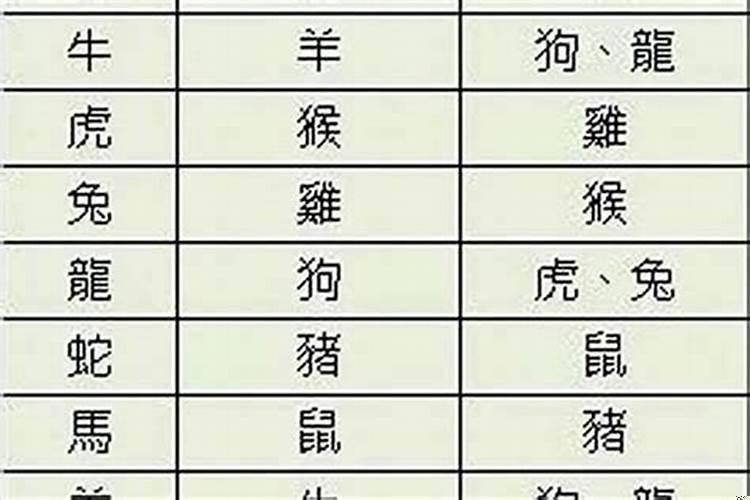 属马女生和属兔男生相配吗