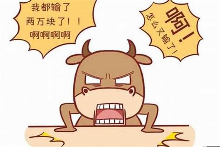 属牛女配婚姻十二生肖