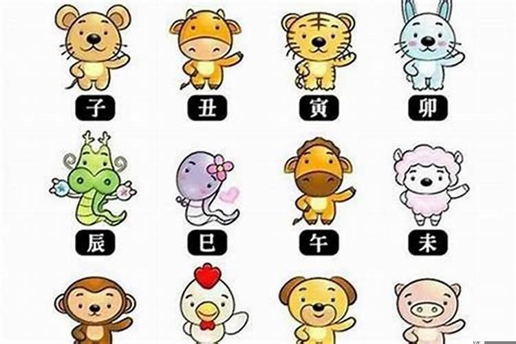十二生肖哪个最高傲