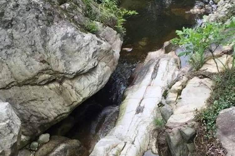 梦到在深山老林里走不出来