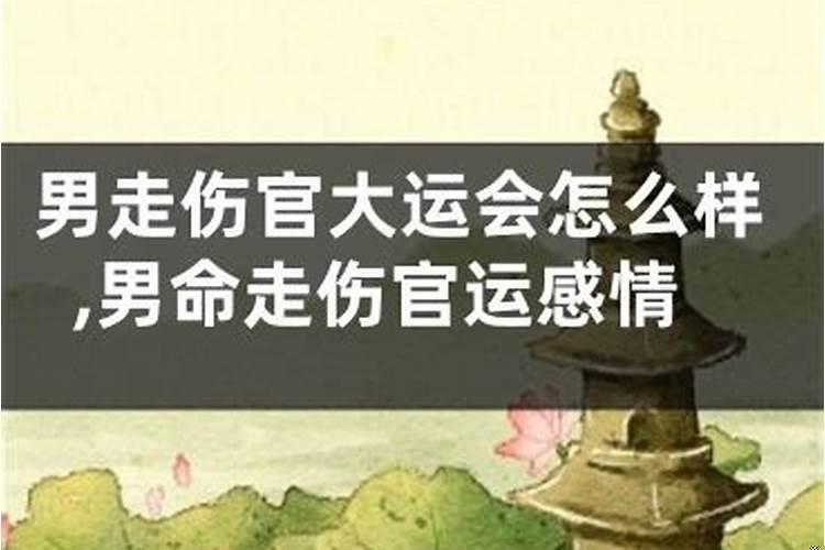走伤官见官的大运，对你有哪些影响?