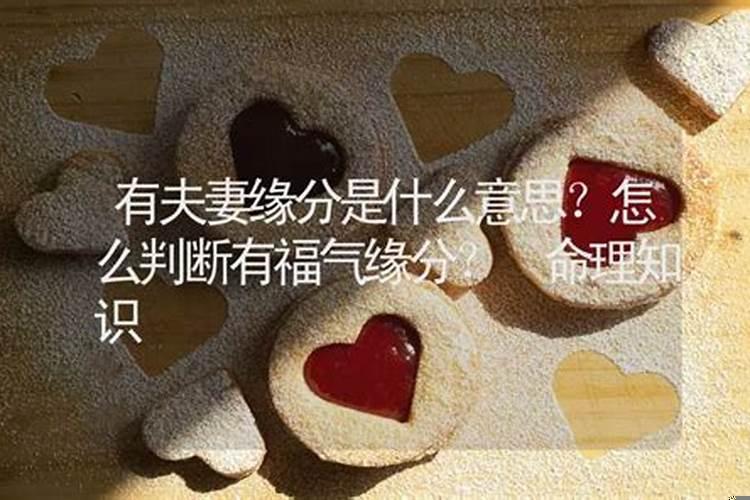 命中注定的姻缘是什么样
