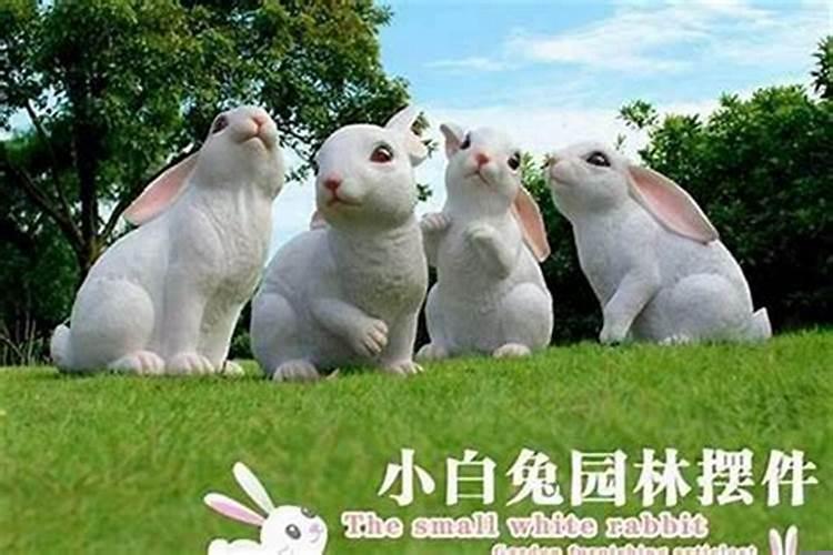 兔宝宝忌什么属相父母和什么属相相克