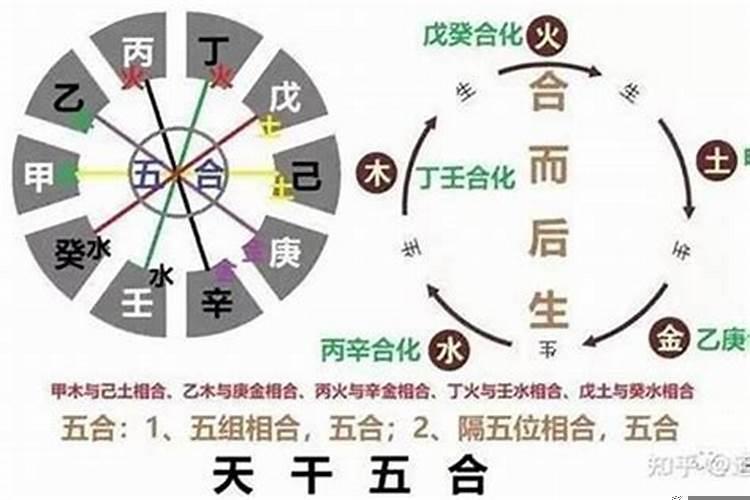 戊癸合的女命八字