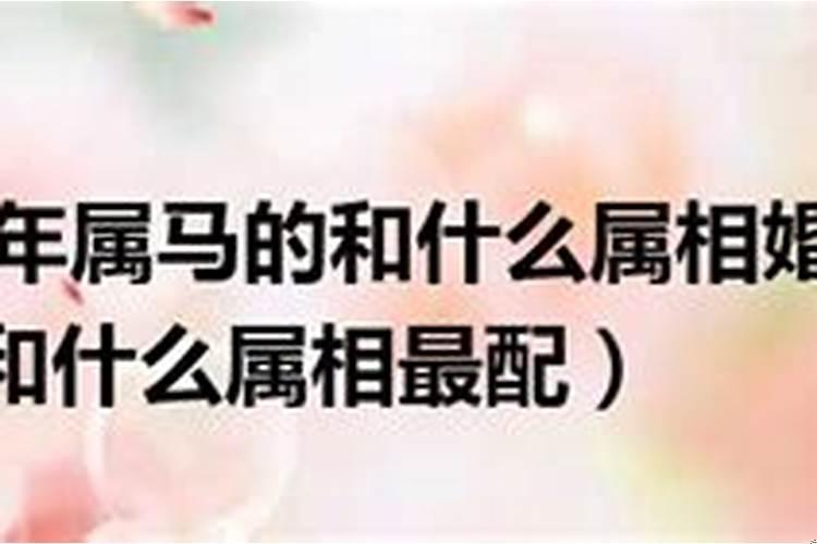 属马配什么属相最好婚姻
