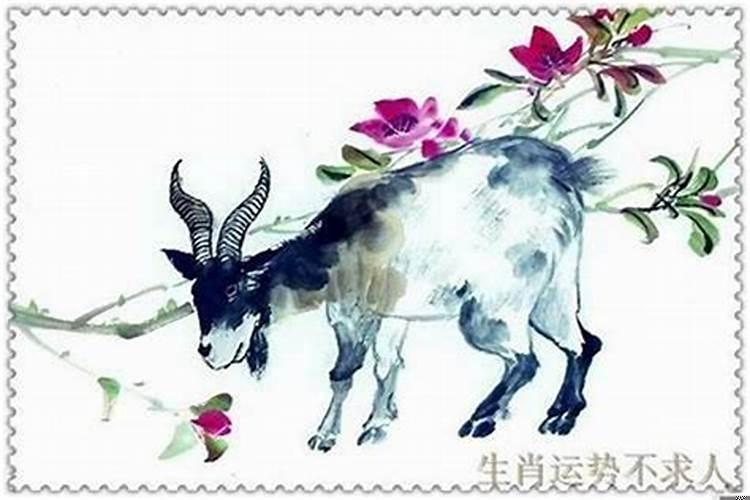 1991年属羊五行缺什么