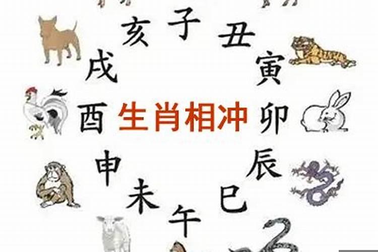 牛年相冲的生肖是什么