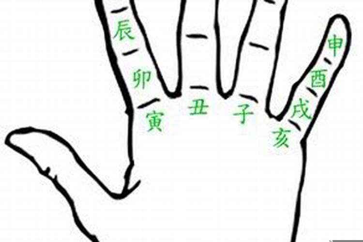 手掌看属相