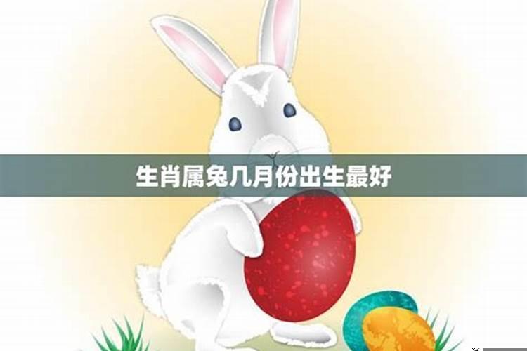 属兔的男孩几月出生最好