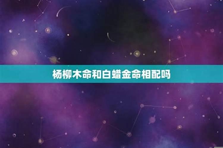 白蜡金命和什么命不配