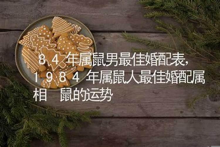 84年男女鼠婚配好吗