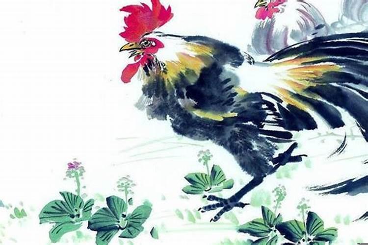 越老财运越好