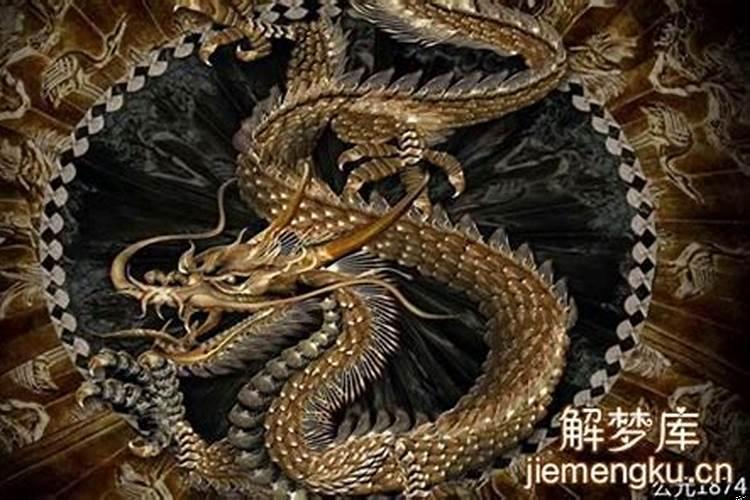 梦见白龙黑龙