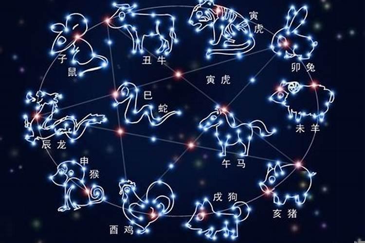 十二生肖对应十二星座