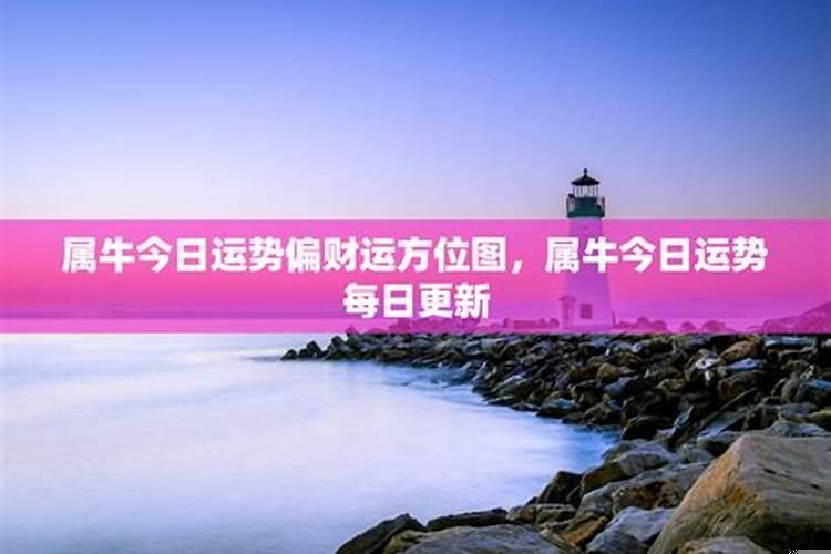 属虎的今日财运偏财运