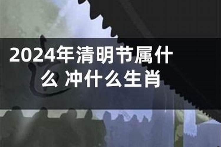 清明节属相相冲